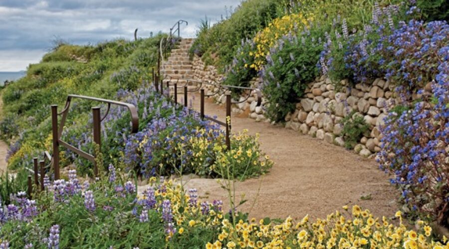 ventura botanical gardens